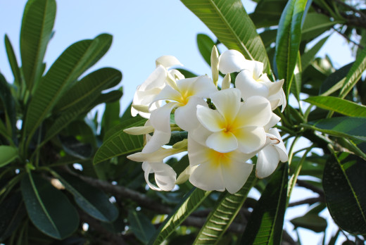 768355 (a): :2600x1740